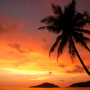 Goa